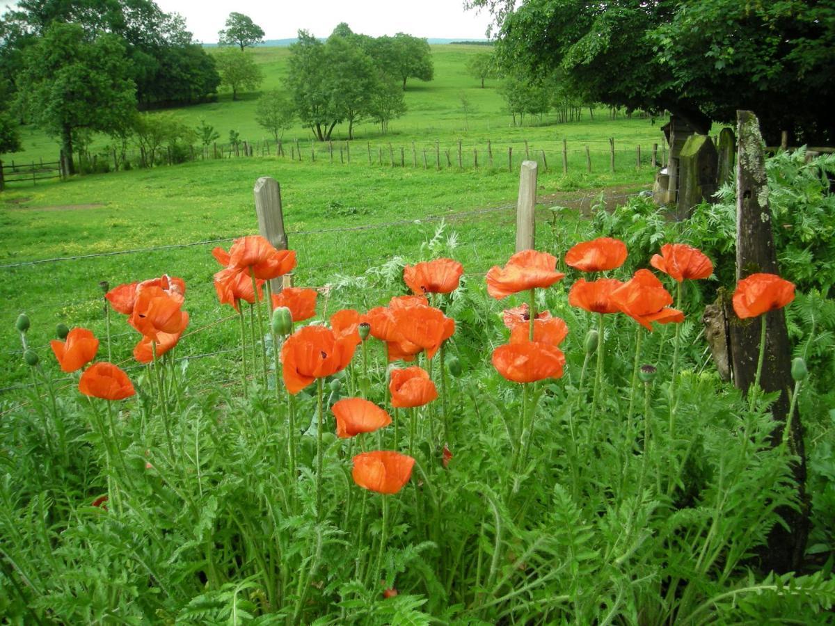 La Source D'Argammet Bed & Breakfast La Ferte ภายนอก รูปภาพ